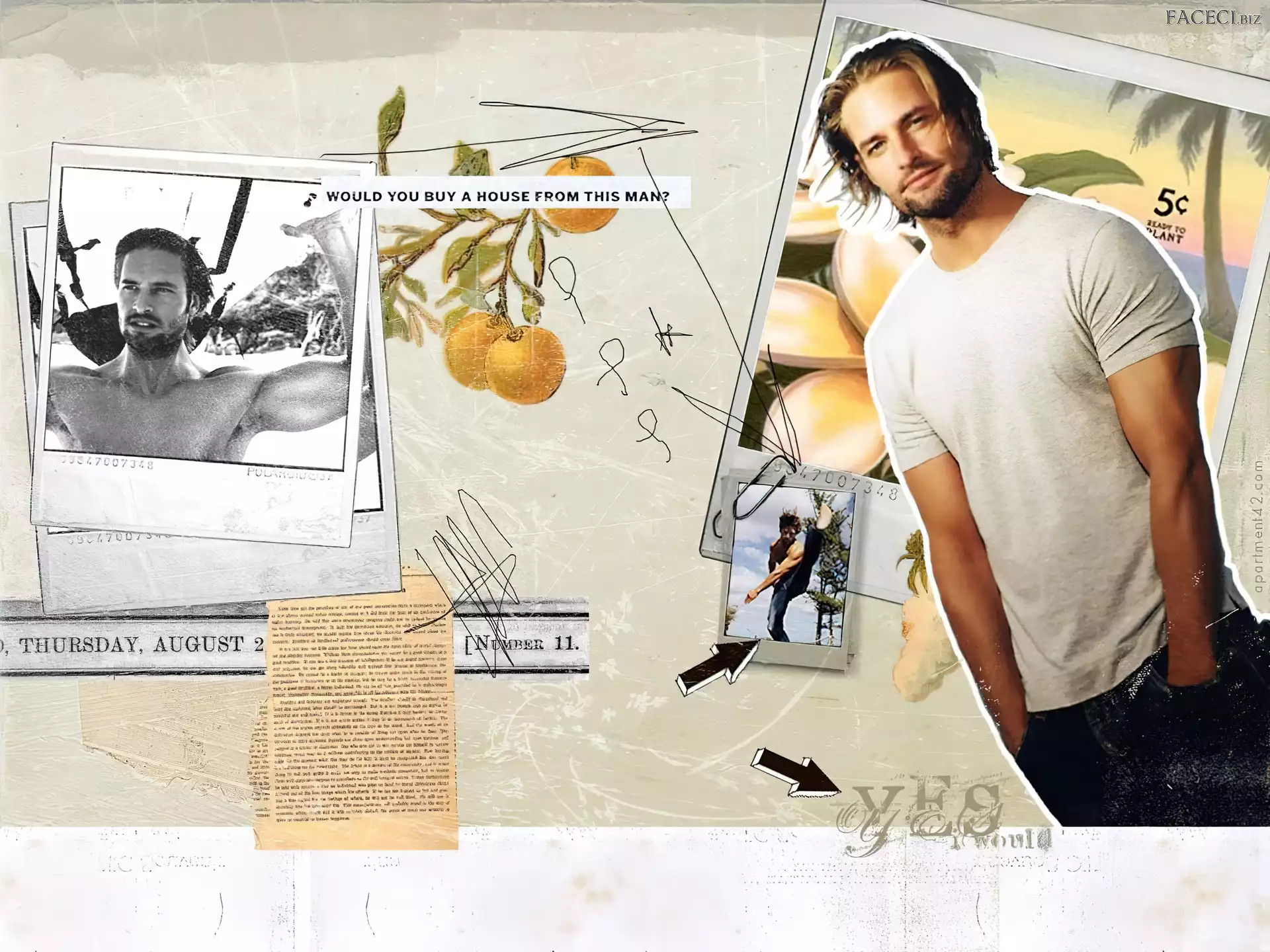 Serial, Lost, Josh Holloway, Zagubieni